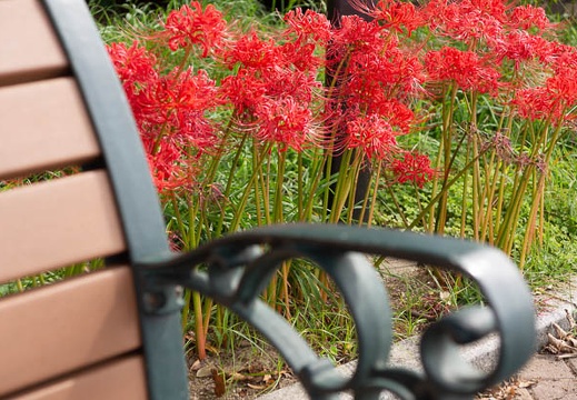 202109241046-DSC09007.jpg