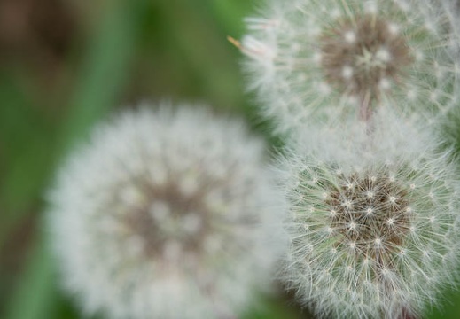 202109301007-DSC06614.jpg