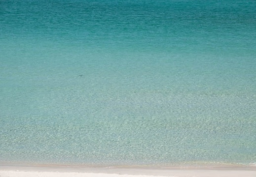 202110051035-DSC06926.jpg