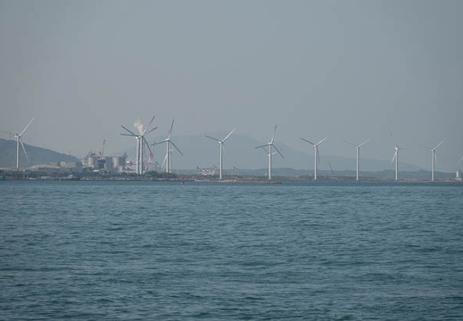202110061055-DSC07394.jpg