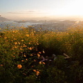 202110101724-DSC07900.jpg