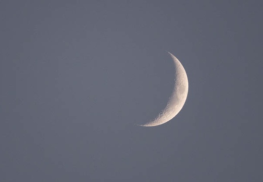 202110101754-DSC07962.jpg