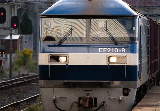 202110170731-DSC07999.jpg