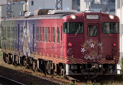 202110170847-DSC08040.jpg