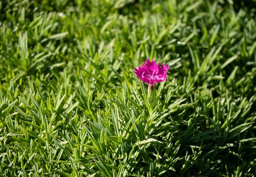 202110180924-DSC08245.jpg