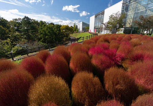 202110180939-DSC09928N5R.jpg