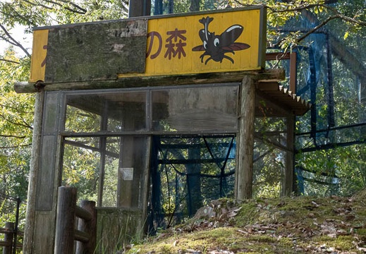 202110181014-DSC08333.jpg