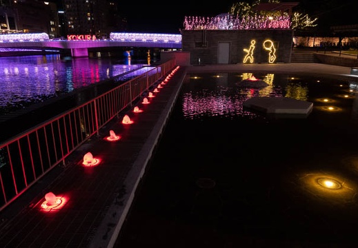 202110201829-DSC08650.jpg