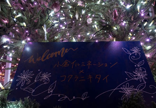 202110201832-DSC08661.jpg