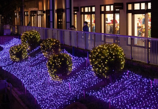 202110201905-DSC08727.jpg