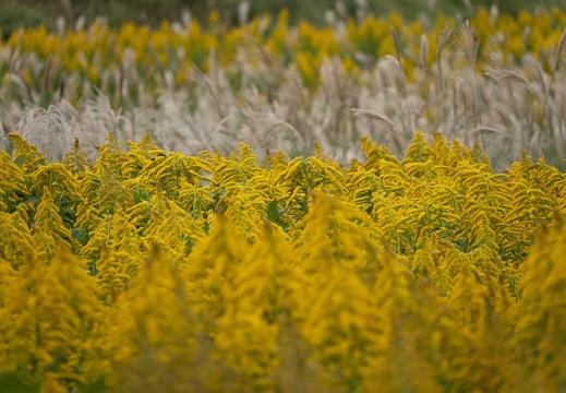 202110241054-DSC09443.jpg