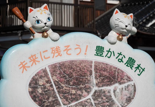 202110271003-DSC09780.jpg
