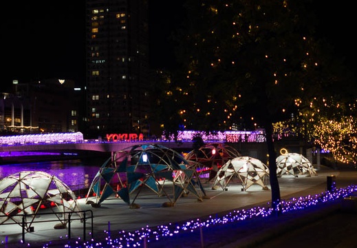 202110291841-DSC09267.jpg