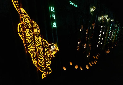 202110291906-DSC00078N5R.jpg