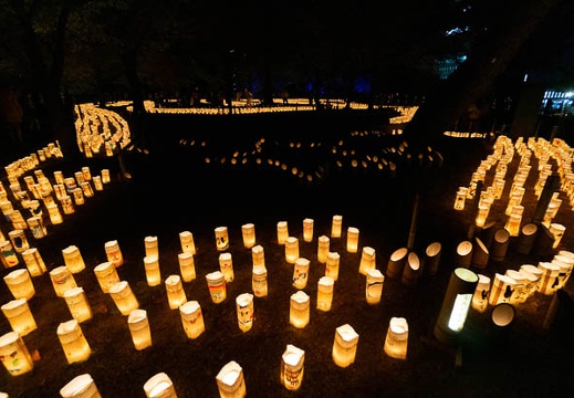 202110291908-DSC00081N5R.jpg