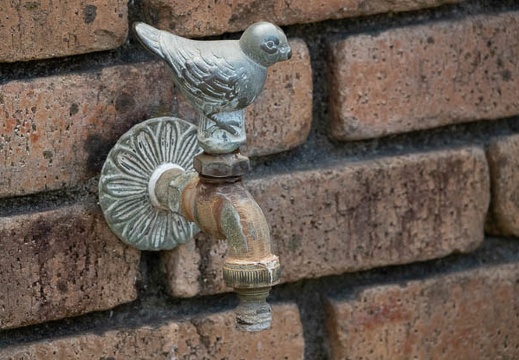 202110311016-DSC00386.jpg