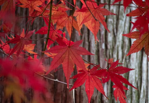 202111040858-DSC00777.jpg