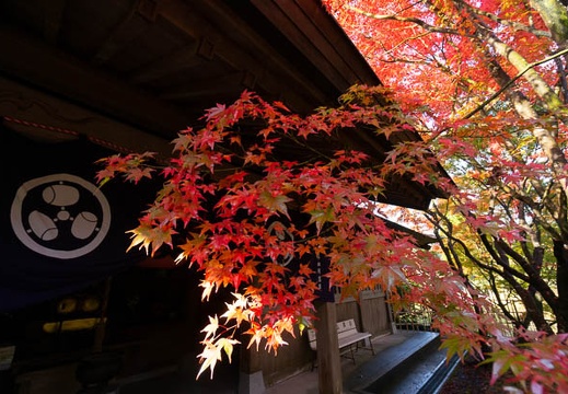 202111040918-DSC00181N5R.jpg