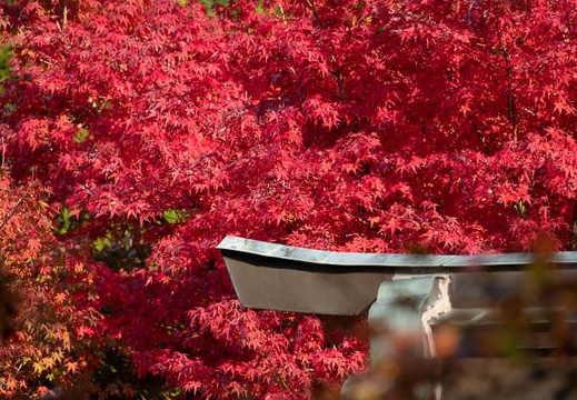 11.04 呑山観音寺 - このアルバムのルートのイメージを表示する 11.04 呑山観音寺
