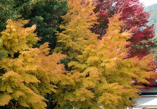 202111040940-DSC00851.jpg