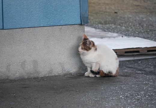 202111060723-DSC01243.jpg