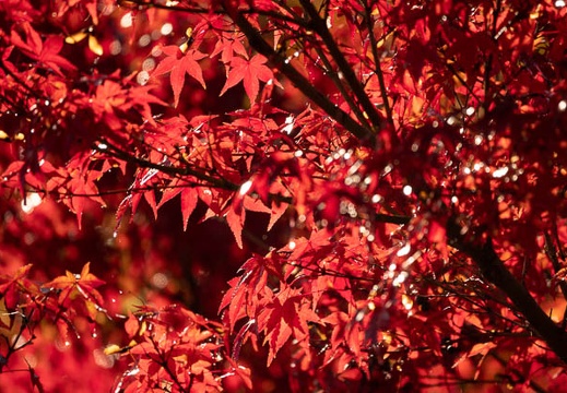 202111070906-DSC01359.jpg