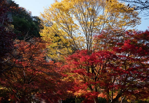 202111071014-DSC01450.jpg