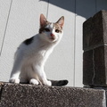 202111071031-DSC01490.jpg