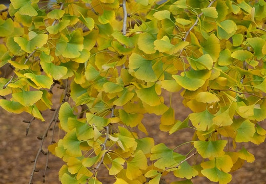 202111150756-DSC01705.jpg