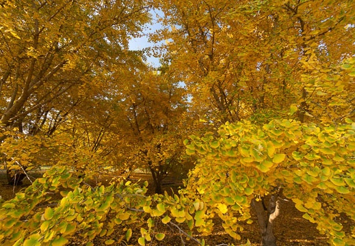 202111150825-DSC00377N5R.jpg