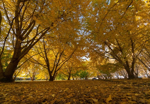 202111150826-DSC00380N5R.jpg