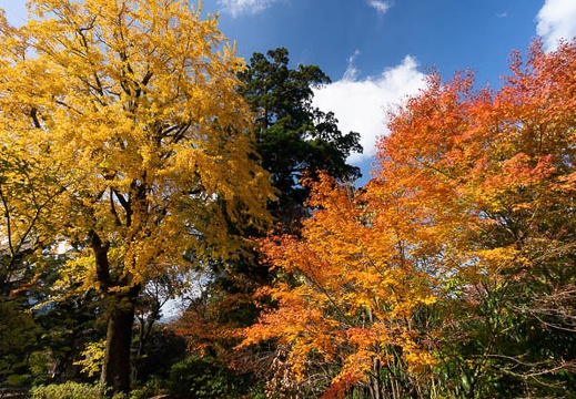 202111151031-DSC00398N5R.jpg
