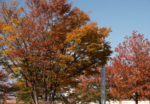 202111171306-DSC02257.jpg