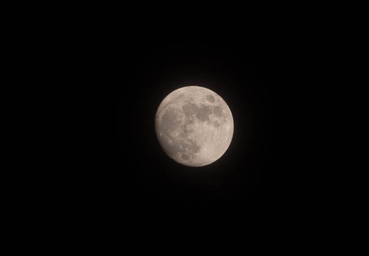 202111171912-DSC02284.jpg