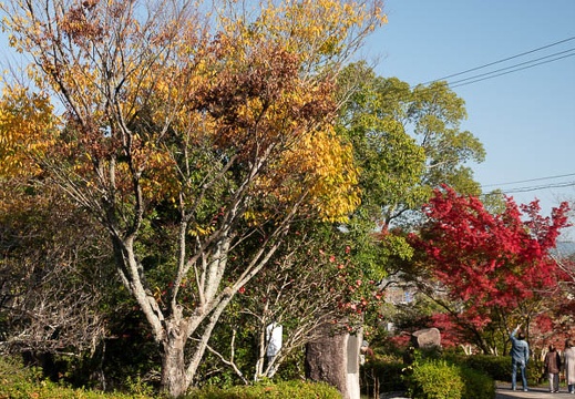202111190945-DSC02291.jpg