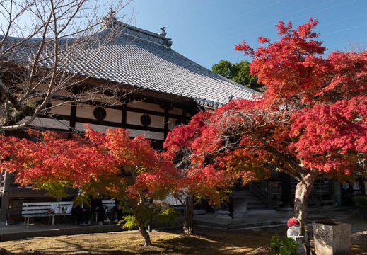 11.19 城下町長府 - このアルバムのルートのイメージを表示する 11.19 城下町長府
