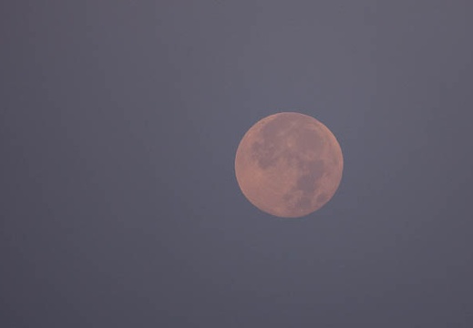 202111200609-DSC03060.jpg