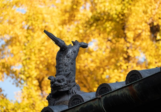 202111200730-DSC03100.jpg