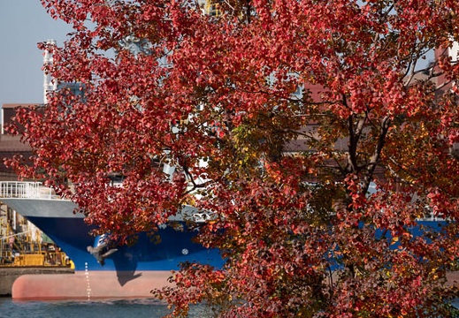 202111201116-DSC03126.jpg
