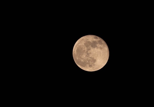 202111201829-DSC03161.jpg