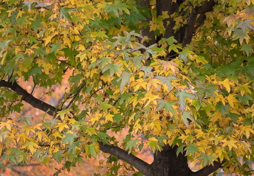 202111211211-DSC03320.jpg