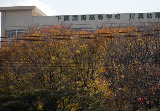 202111251237-DSC03354.jpg