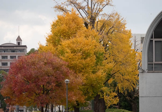 202111251445-DSC03426.jpg
