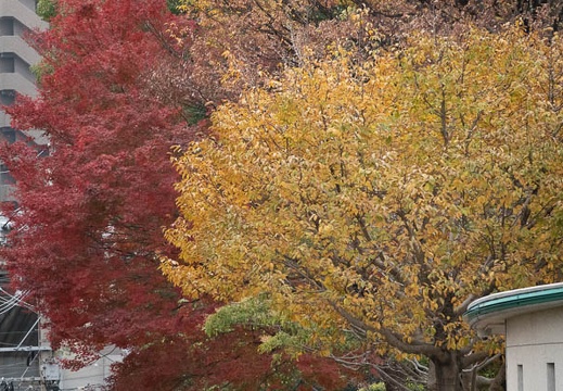 202111251448-DSC03433.jpg