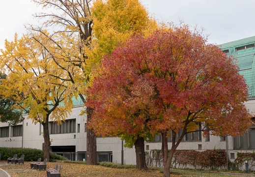 202111251449-DSC03437.jpg
