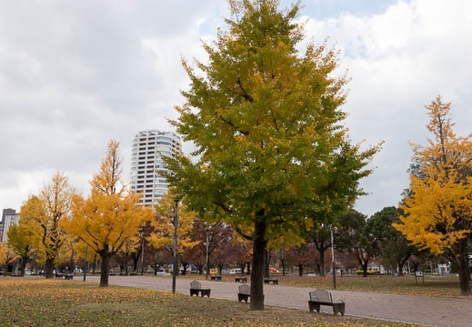 202111251452-DSC03444.jpg