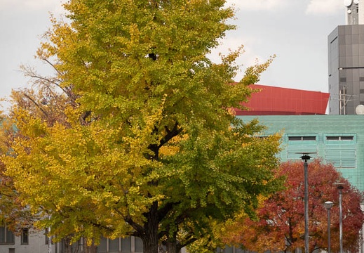 202111251501-DSC03456.jpg