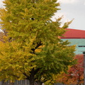 202111251501-DSC03456.jpg