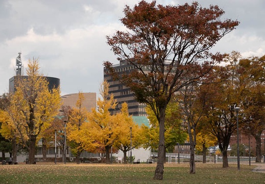 202111251503-DSC03460.jpg