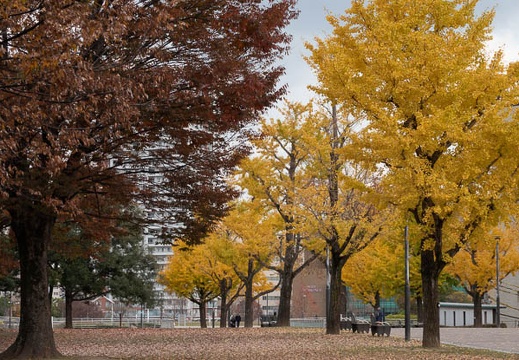 202111251506-DSC03471.jpg